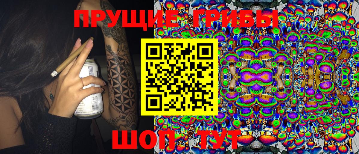 Коряжма  Псилоцибиновые грибы мицелий  Вход с VPN 